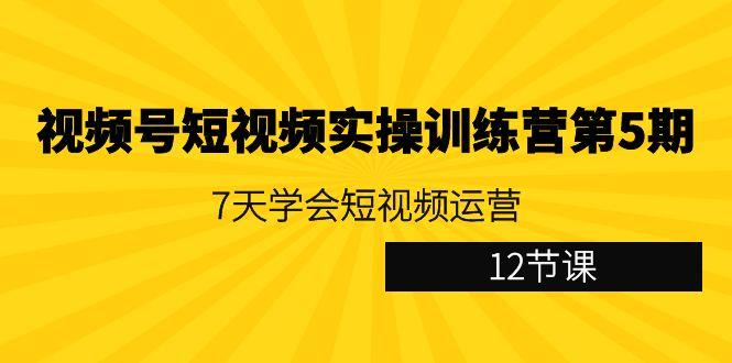 视频号短视频实操训练营第5期：7天学会短视频运营(12节课)-AI网创