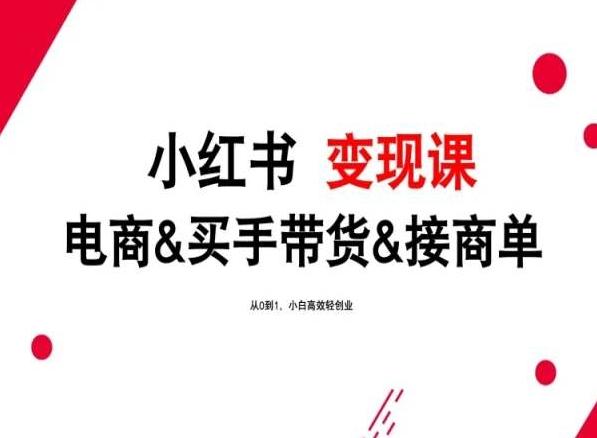 2024年最新小红书变现课，电商&买手带货&接商单，从0到1，小白高效轻创业-AI网创