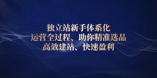 独立站新手体系化 运营全过程，助你精准选品、高效建站、快速盈利-AI网创