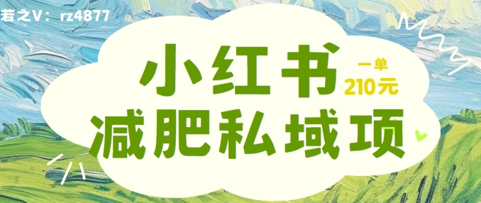 小红书减肥粉，私域变现项目，一单就达210元，小白也能轻松上手【揭秘】-AI网创