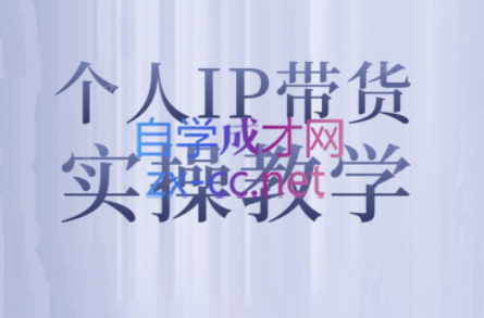 萌神姐姐·个人IP真人出镜短视频实操课-AI网创