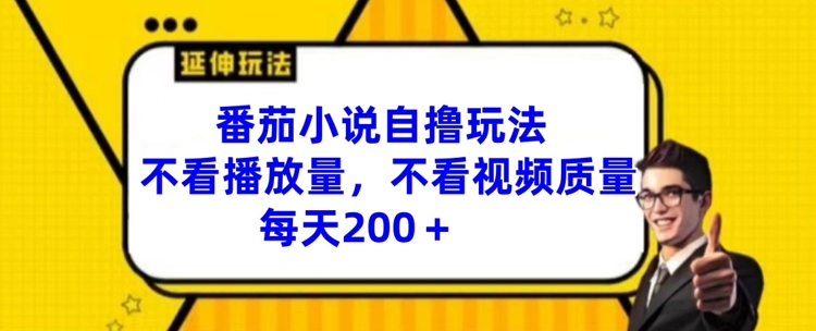 番茄小说自撸玩法，不看播放量，不看视频质量，每天200+【揭秘】-AI网创