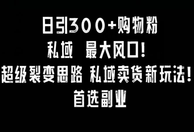 日引300+购物粉，超级裂变思路，私域卖货新玩法，小红书首选副业【揭秘】-AI网创