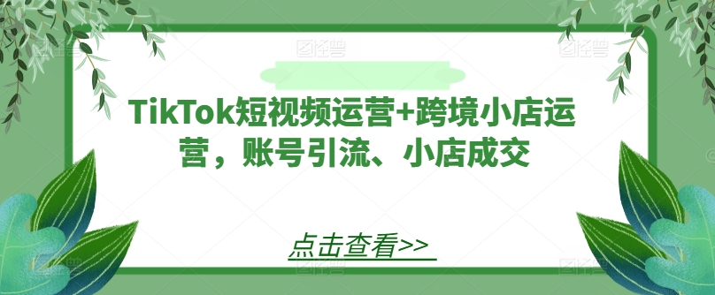 TikTok短视频运营+跨境小店运营，账号引流、小店成交-AI网创