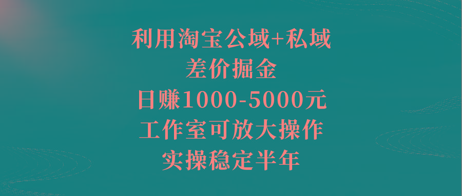 利用淘宝公域+私域差价掘金，日赚1000-5000元，工作室可放大操作，实操…-AI网创