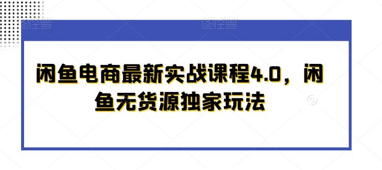 闲鱼电商最新实战课程4.0，闲鱼无货源独家玩法-AI网创