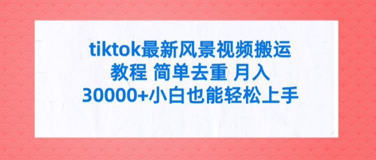 tiktok最新风景视频搬运教程 简单去重 月入3W+小白也能轻松上手【揭秘】-AI网创