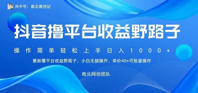 最新撸抖音平台收益野路子，操作简单，单价高，小白可无脑操作可日入1000+-AI网创