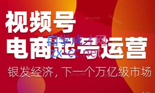 陈大黑牛·视频号电商起号运营课(更新到24年5月)-AI网创