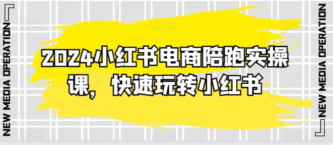 2024小红书电商陪跑实操课，快速玩转小红书，超过20节精细化课程-AI网创