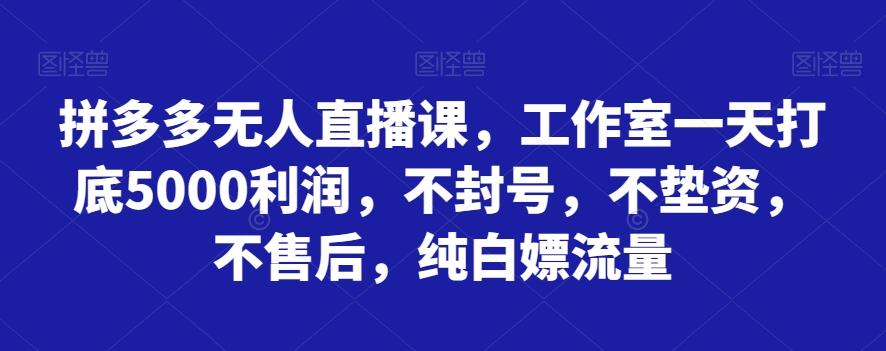 拼多多无人直播课，工作室一天打底5000利润，不封号，不垫资，不售后，纯白嫖流量-AI网创