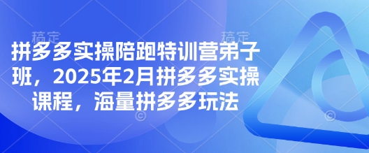 拼多多实操陪跑特训营弟子班，2025年2月拼多多实操课程，海量拼多多玩法-AI网创