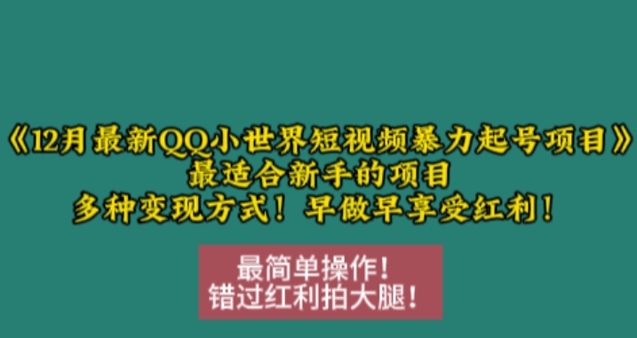 12月最新QQ小世界短视频暴力起号项目，最适合新手的项目，多种变现方式-AI网创