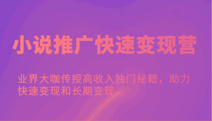 小说推广快速变现营-业界大咖传授高收入独门秘籍，助力快速变现和长期变现。-AI网创