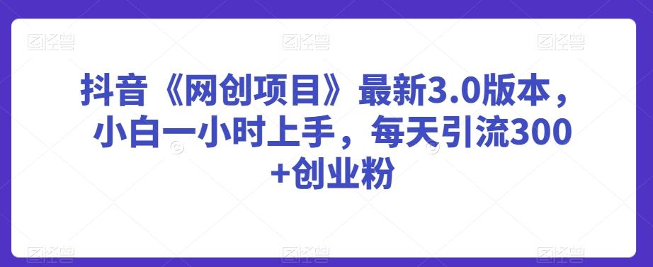 抖音《网创项目》最新3.0版本，小白一小时上手，每天引流300+创业粉【揭秘】-AI网创