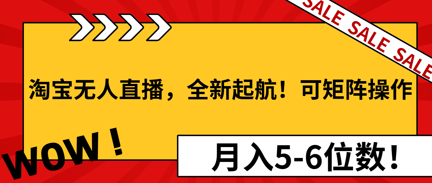 淘宝无人直播，全新起航！可矩阵操作，月入5-6位数！-AI网创