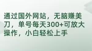 通过国外网站，无脑赚美刀，单号每天300+可放大操作，小白轻松上手【揭秘】-AI网创