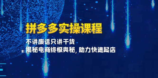 拼多多实操课程：不讲废话只讲干货, 揭秘电商终极奥秘,助力快速起店-AI网创