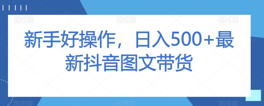 新手好操作，日入500+最新抖音图文带货【揭秘】-AI网创