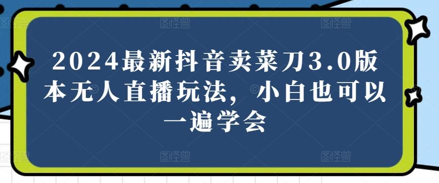 2024最新抖音卖菜刀3.0版本无人直播玩法，小白也可以一遍学会【揭秘】-AI网创