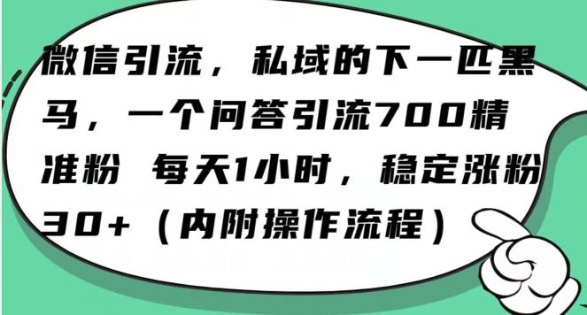 怎么搞精准创业粉？微信新赛道，每天一小时，利用Ai一个问答日引100精准粉-AI网创