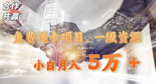 免费送卡项目，一级资源，小白月入5万+-AI网创