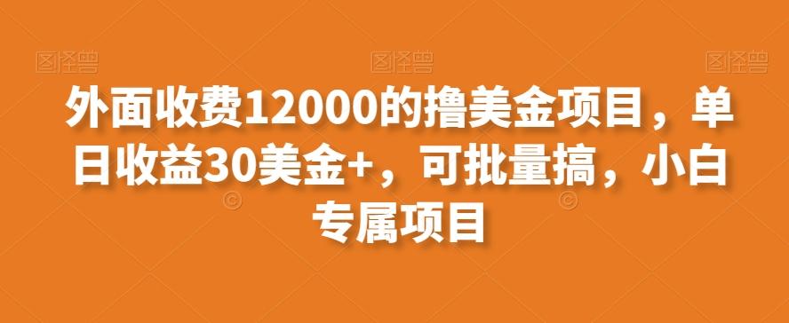 外面收费12000的撸美金项目，单日收益30美金+，可批量搞，小白专属项目-AI网创