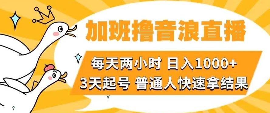 加班撸音浪直播，每天两小时，日入1000+，直播话术才3句，3天起号，普通人快速拿结果【揭秘】-AI网创