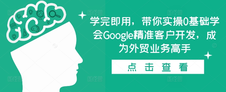 学完即用，带你实操0基础学会Google精准客户开发，成为外贸业务高手-AI网创