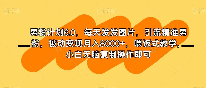 男粉计划6.0，每天发发图片，引流精准男粉，被动变现月入8000+，喂饭式教学，小白无脑复制操作即可-AI网创