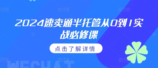 2024速卖通半托管从0到1实战必修课，掌握通投广告打法、熟悉速卖通半托管的政策细节-AI网创