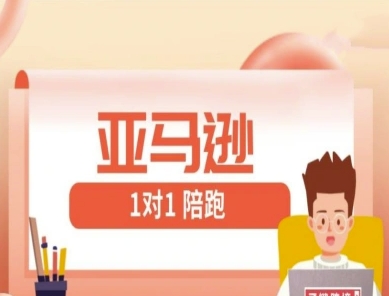 亚马逊1对1陪跑课(FBA/FBM精铺)跨境亚马逊教程-AI网创