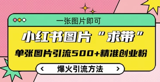 小红书图片‘求带’爆火引流法，单张图片引流500+精准创业粉【揭秘】-AI网创