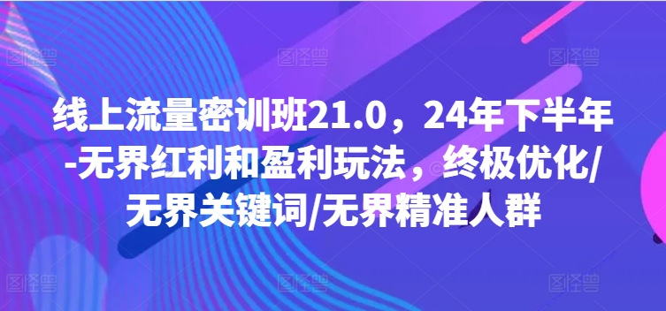 线上流量密训班21.0，24年下半年-无界红利和盈利玩法，终极优化/无界关键词/无界精准人群-AI网创