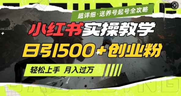 2月小红书最新日引500+创业粉实操教学【超详细】小白轻松上手，月入1W+，附小红书养号起号SOP-AI网创