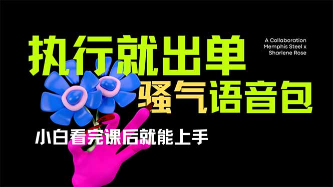 爆火全网的开车导航骚气语音包,只要执行就出单，小白看完课程就能实操…-AI网创