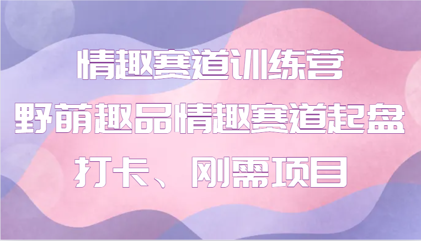 情趣赛道训练营 野萌趣品情趣赛道起盘打卡、刚需项目-AI网创