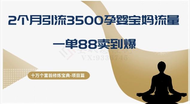 十万个富翁修炼宝典之13.2个月引流3500孕婴宝妈流量，一单88卖到爆-AI网创