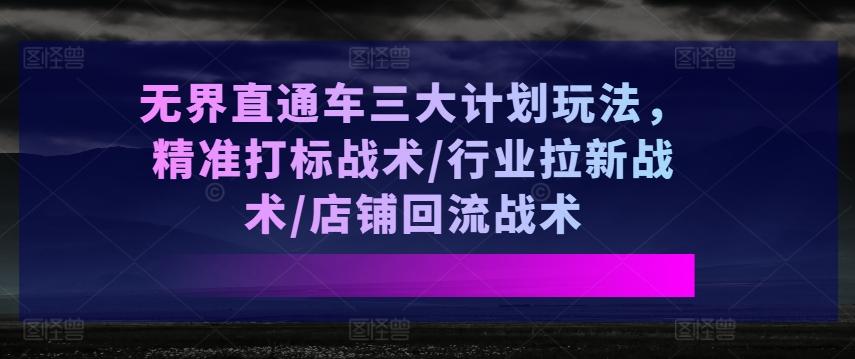 无界直通车三大计划玩法，精准打标战术/行业拉新战术/店铺回流战术-AI网创