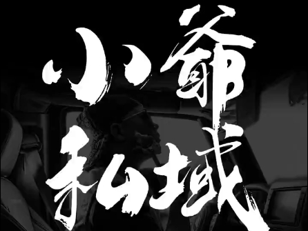 小爷·私域项目操盘手-AI网创