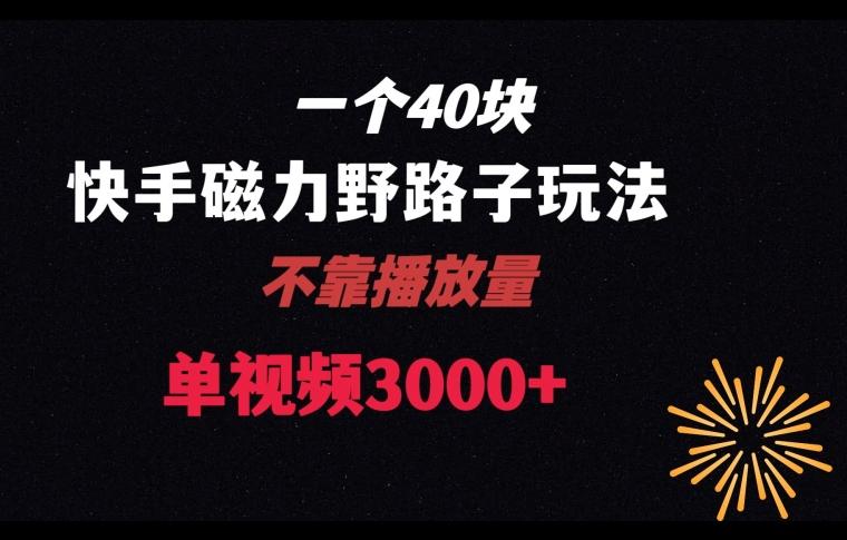 一个40块，快手联合美团磁力新玩法，无视机制野路子玩法，单视频收益4位数【揭秘】-AI网创