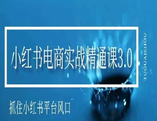小红书电商实战精通课3.0，抓住小红书平台的风口，不错过有一个赚钱的机会-AI网创