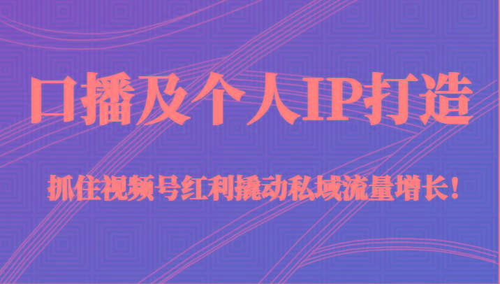 口播及个人IP打造，抓住视频号红利撬动私域流量增长！（45节课）-AI网创
