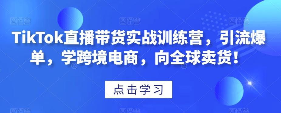 TikTok直播带货实战训练营，引流爆单，学跨境电商，向全球卖货！-AI网创