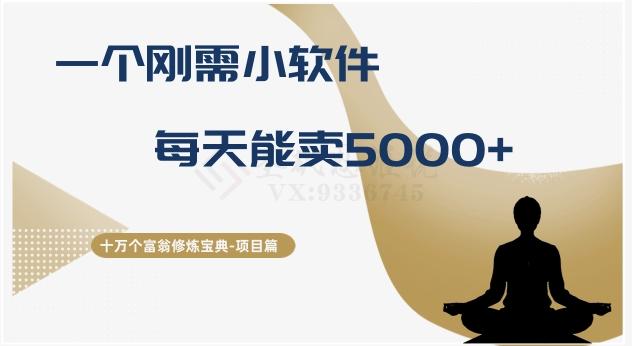 十万个富翁修炼宝典之17.一个刚需小软件，每天能卖5000+-AI网创
