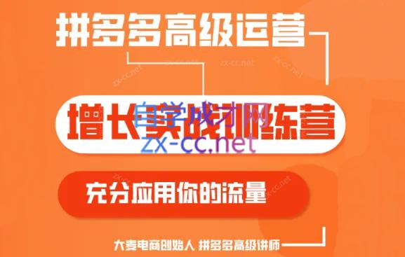 大麦老师·拼多多单品爆款打造课程(更新6月)-AI网创