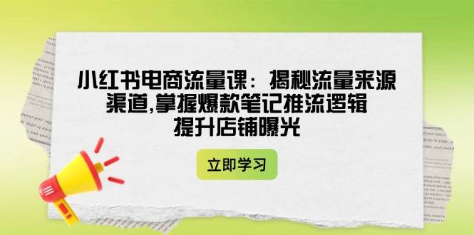 小红书电商流量课：揭秘流量来源渠道,掌握爆款笔记推流逻辑,提升店铺曝光-AI网创