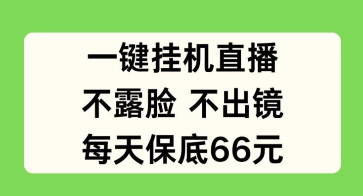 一键挂JI直播，不露脸不出境，每天保底66元【揭秘】-AI网创