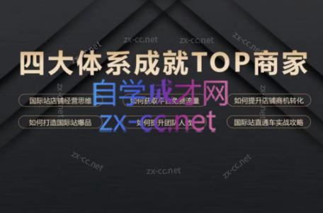 华曜·阿里巴巴国际站认知及直通车实操课程-AI网创