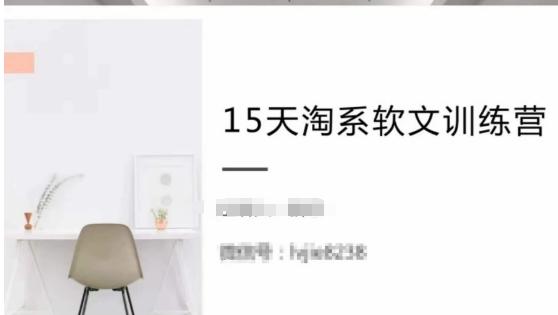 15天淘系软文训练营，跟年入50万的淘系软文导师，学习月收过万的淘系软文-AI网创